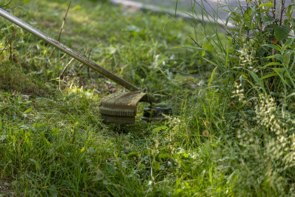 cordless string trimmer buying guide